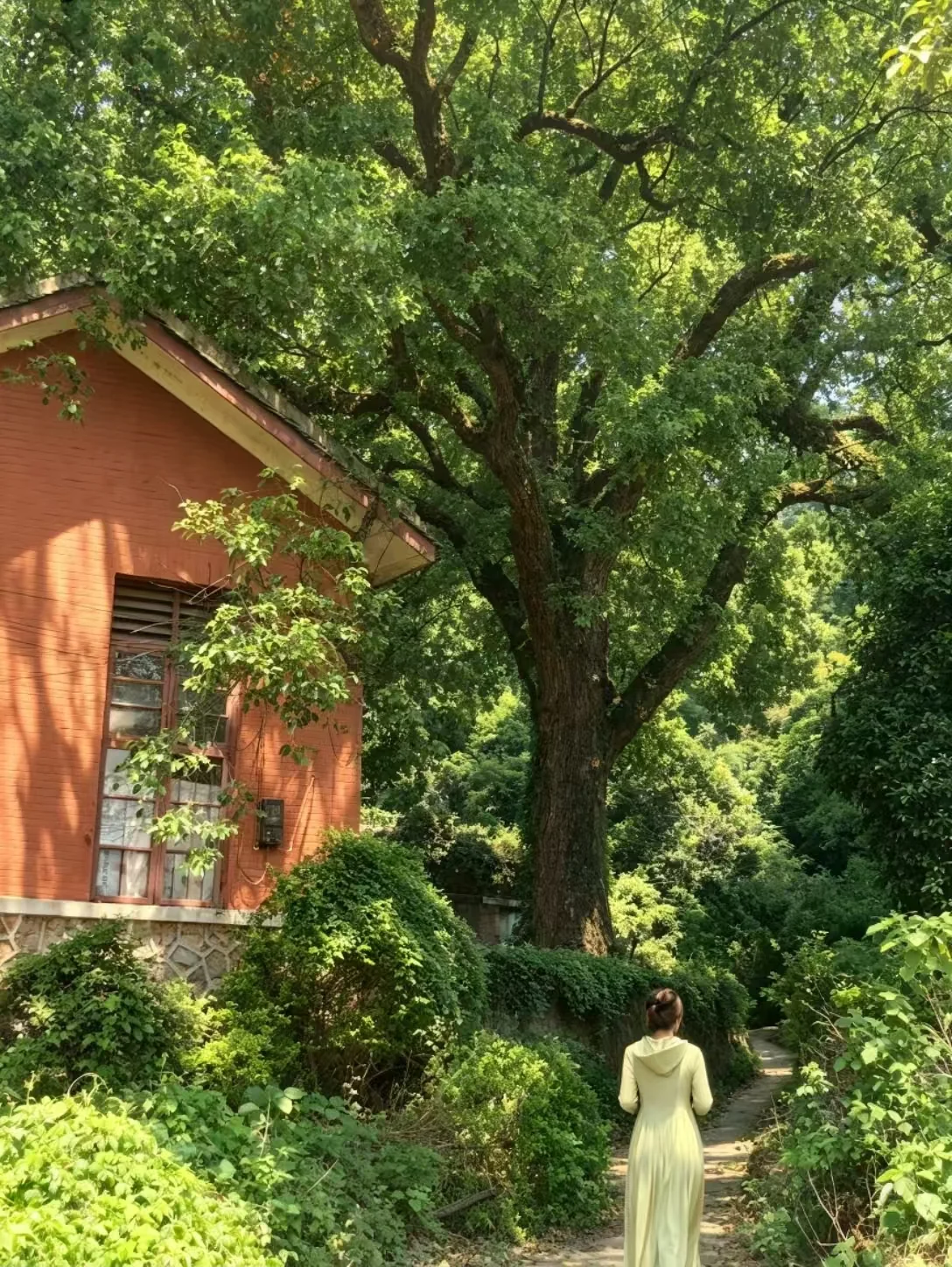 横山村古树与村落建筑